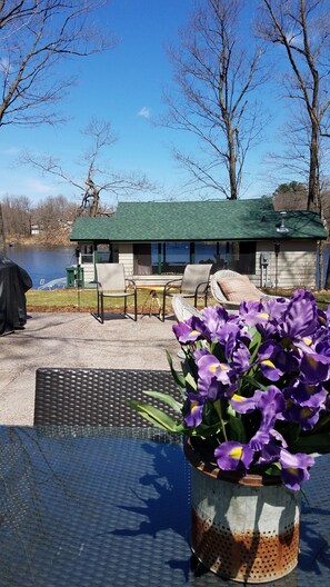 Property grounds - Hemlock Hide-A-Way Cozy Romantic Private Lake Cabin (Rice Lake)