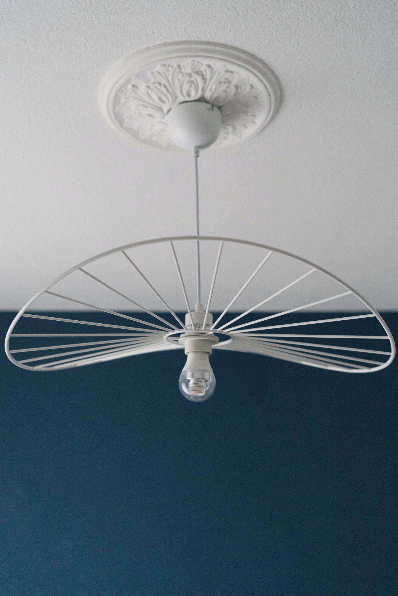 A ceiling fan with a white light fixture and a decorative ceiling medallion.