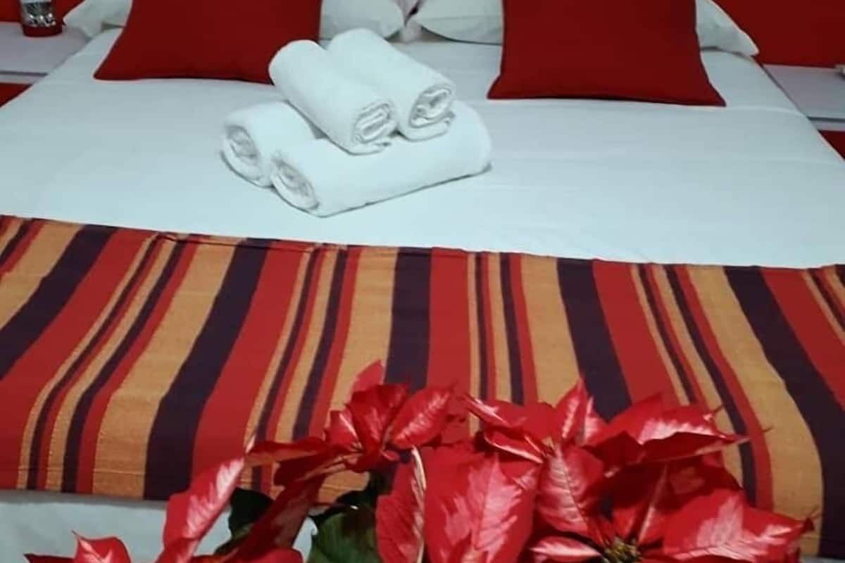 Une chambre d’hôtel avec un lit, des oreillers rouges, une couvre-lit à rayures et une plante en pot ornée de fleurs rouges.