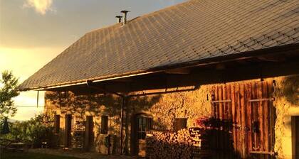 Appartement-cabane avec terrasse en pleine nature