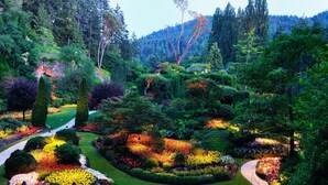 Un jardí ben cuidat amb diverses espècies de plantes, un camí sinuós i una vista clara de la forest circumdant.