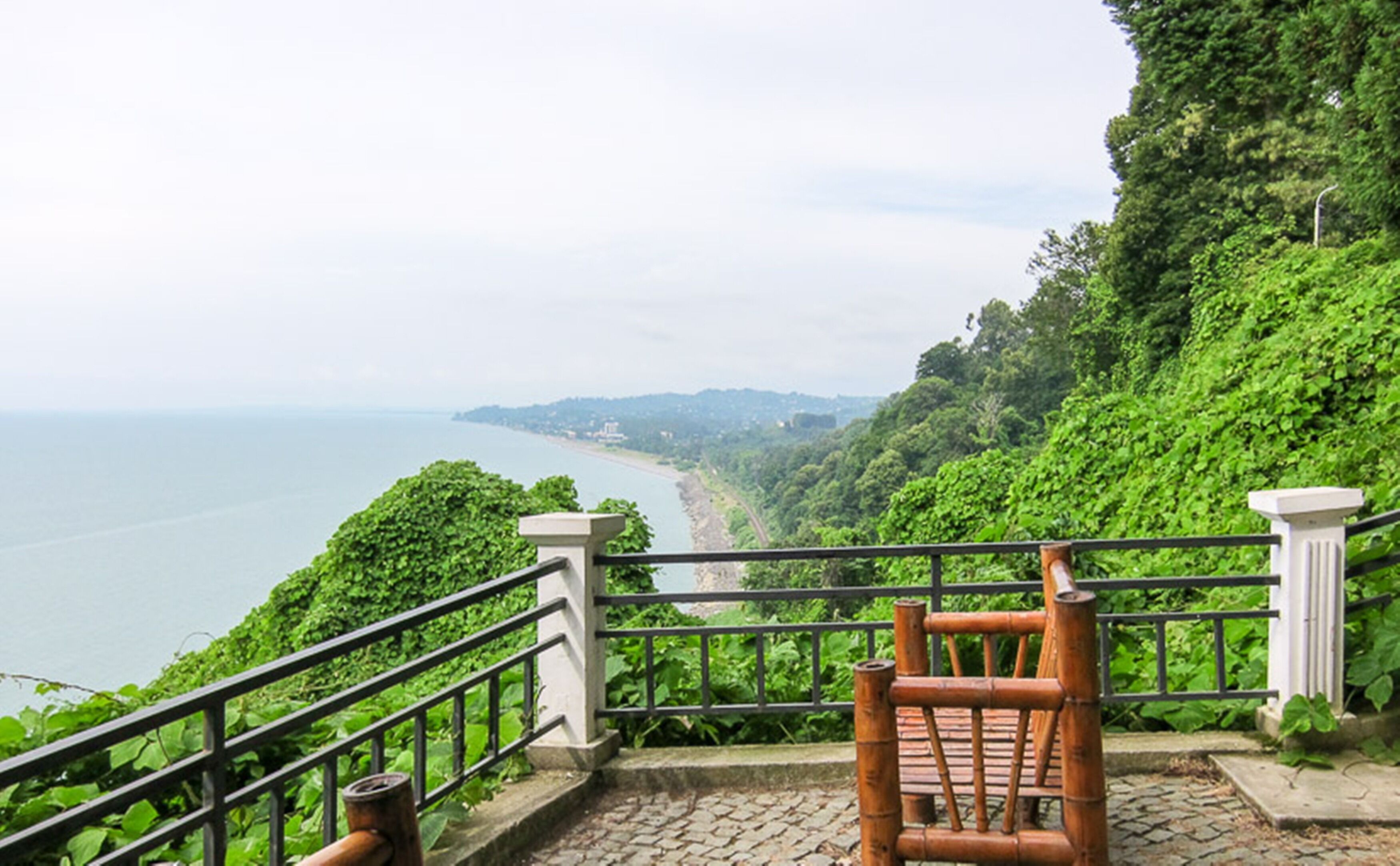 Foto - Hotel Cattaleya