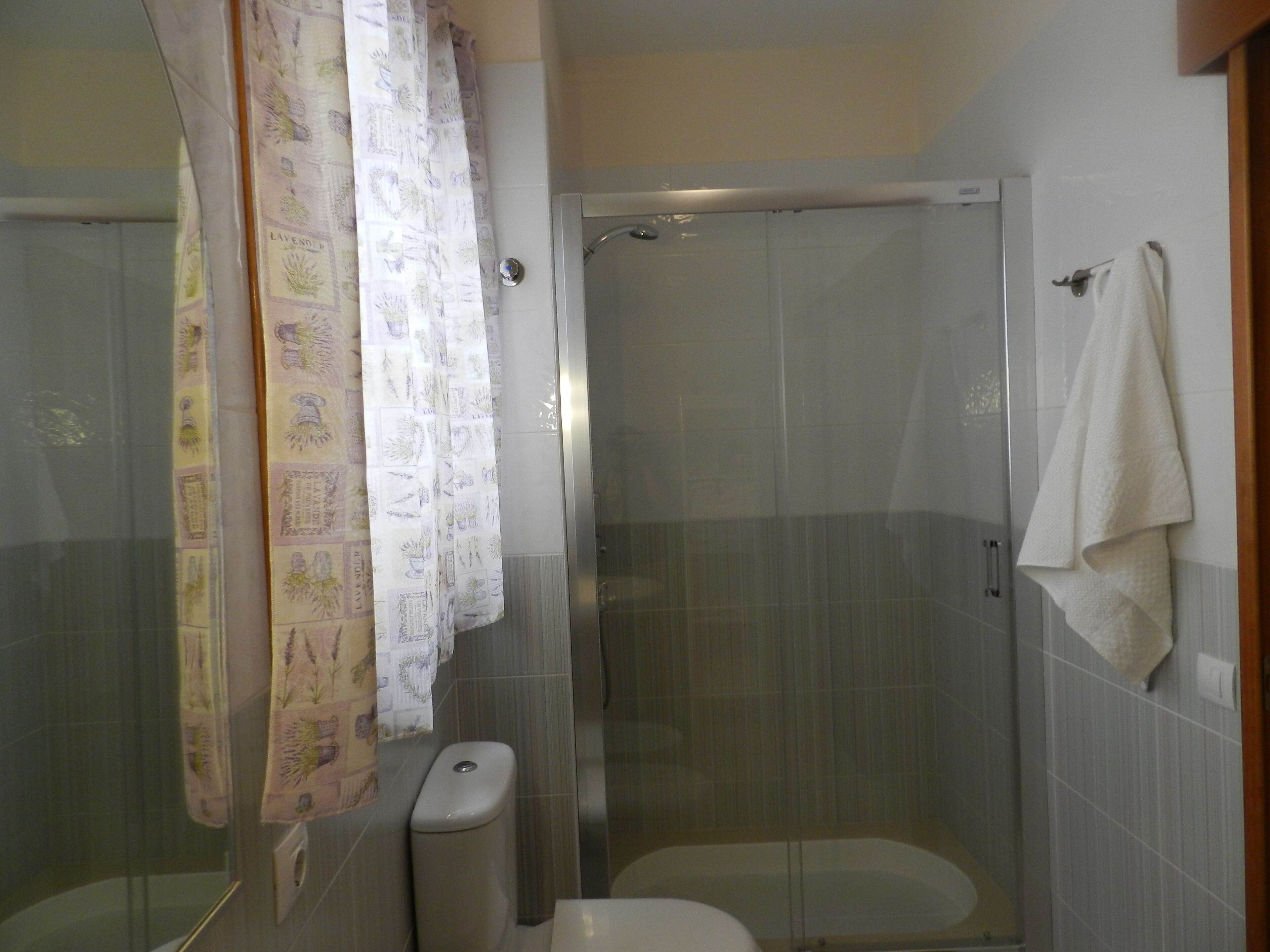 A bathroom with a shower, toilet, and a towel rack.