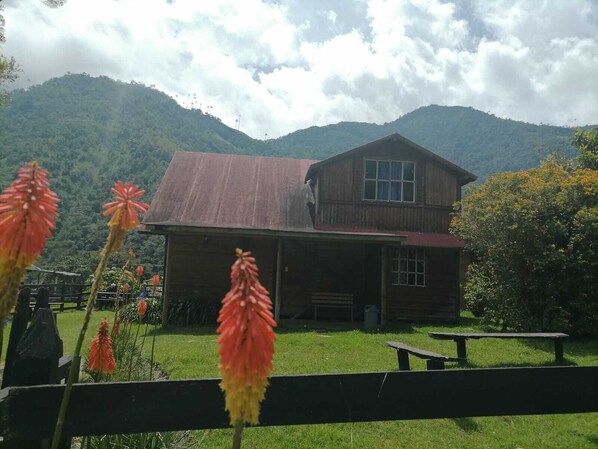 A rustic wooden cabin with a two-story structure, a porch, and a small patio area. - Eco Hotel las Palmas de Cocora (Salento)