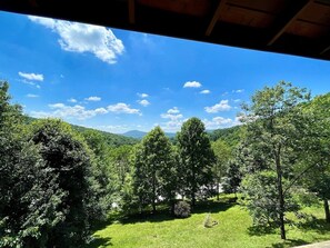 Property grounds - Sunrise Sensation- West Jefferson, NC (West Jefferson)