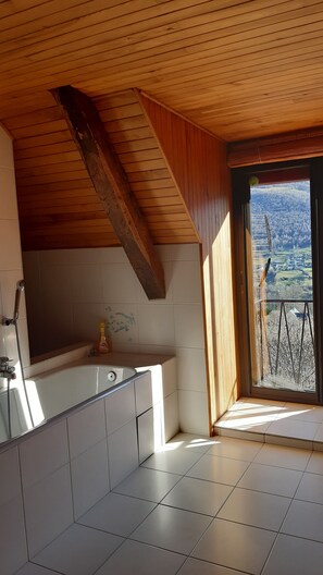 Combined shower/tub, hair dryer, bidet, soap