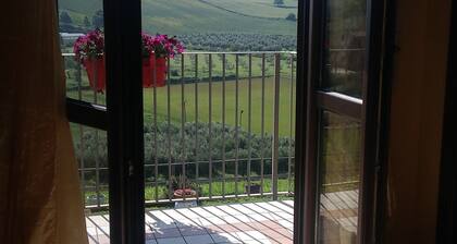 Bed & Breakfast Valeri