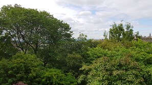 A lush green park with dense foliage and a distant view of buildings, including a church steeple. - Grand Edinburgh Castlehill Apartment (Edinburgh)