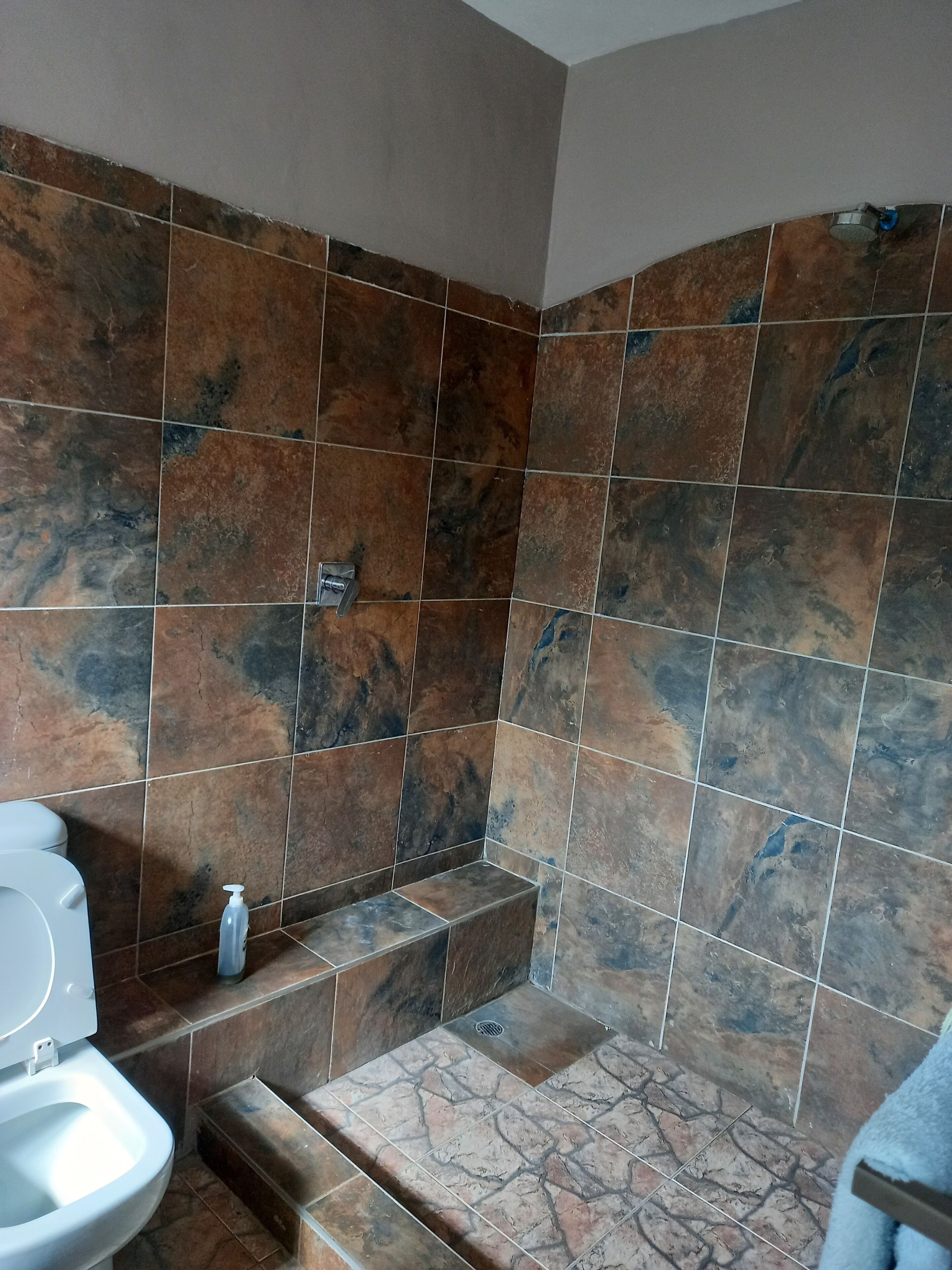 A bathroom with a toilet, a sink, and a shower area with tiled walls and floor.