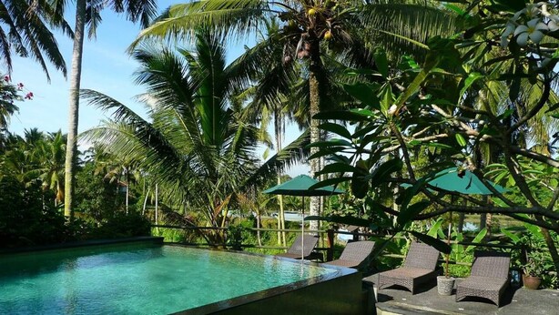 A swimming pool with lounge chairs and umbrellas, surrounded by palm trees. - Upper Level 1BR Apartment with Shared Pool (Ubud)