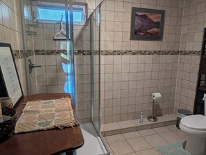 Shower, hair dryer, towels, soap