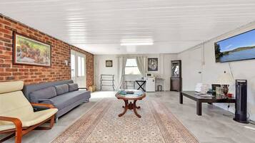 TV, fireplace, DVD player