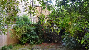 A garden with a stone wall, various plants, and a wooden fence. - Authentic Central 3-Bedroom Apartment (Edinburgh)