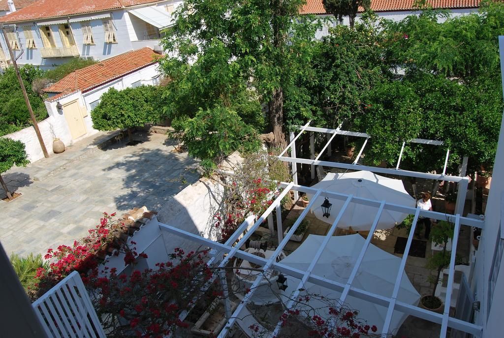 Un patio con una pérgola blanca, plantas en macetas y un árbol.