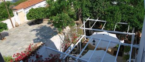 Un patio con una pérgola blanca, plantas en macetas y un árbol.