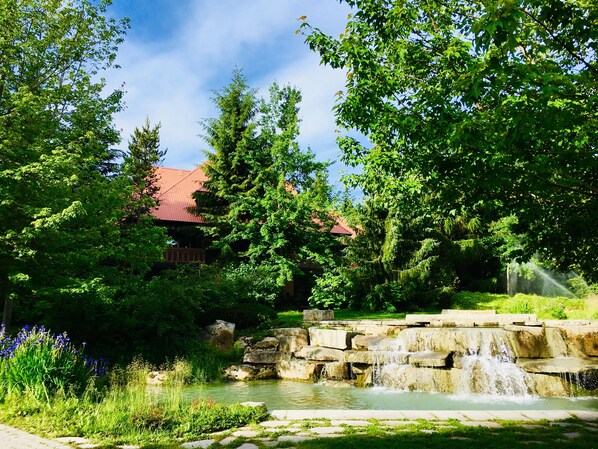 Escape to a serene oasis surrounded by lush greenery and a soothing waterfall.