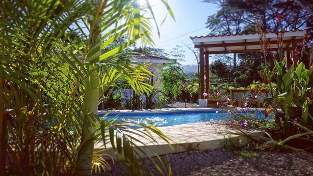 Une piscine entourée d’une végétation luxuriante et agrémentée d’une pergola.