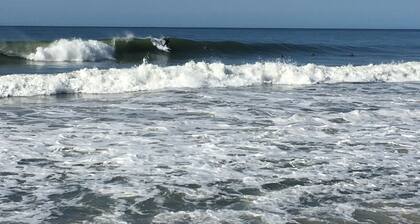 SUN AND NATURE BY THE SEA