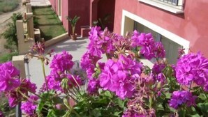 Un edificio rojo con una entrada pequeña y un jardín con flores moradas al frente.