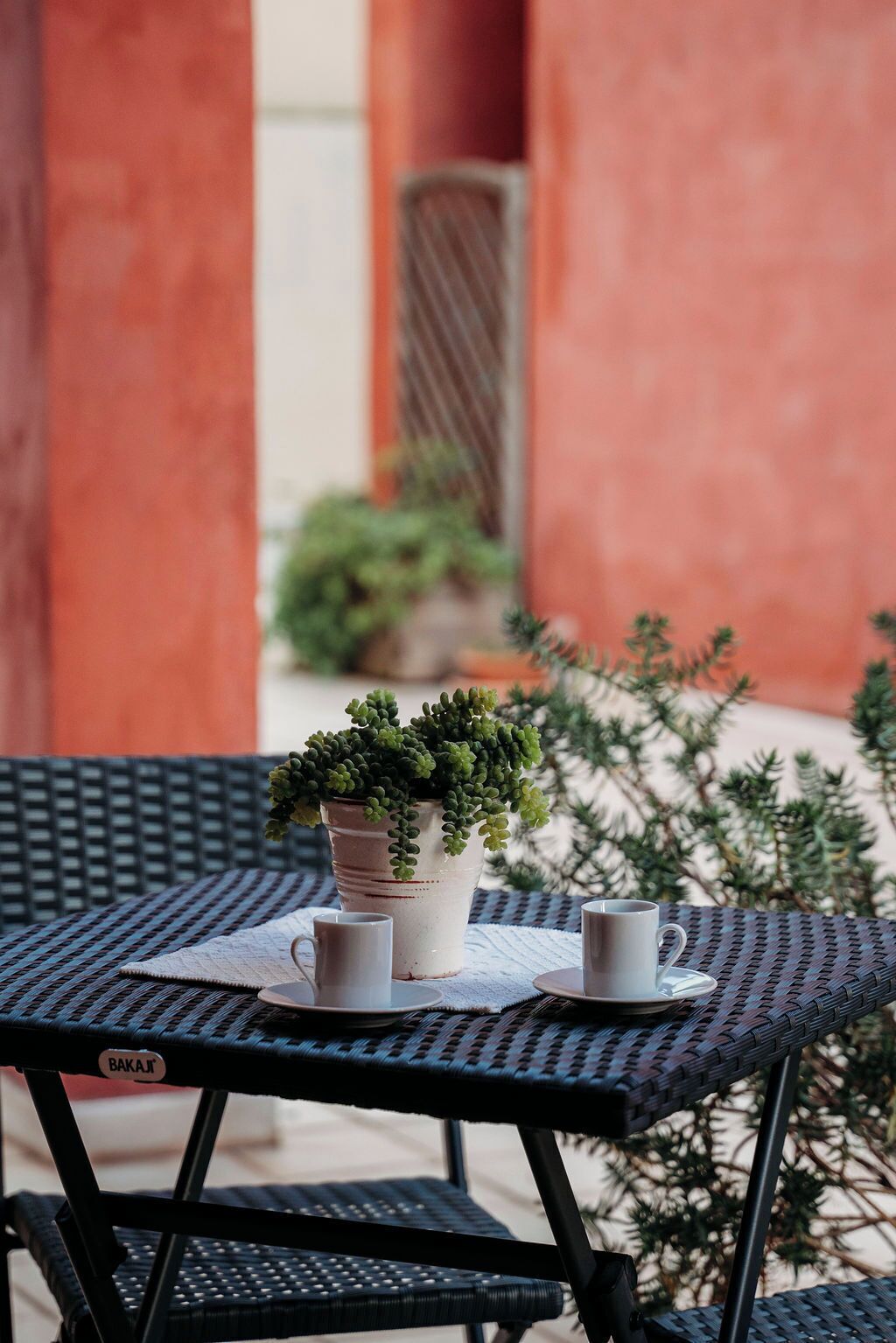 Een tafel met een plant in pot en twee kopjes, gedekt met een geweven tafelkleed.
