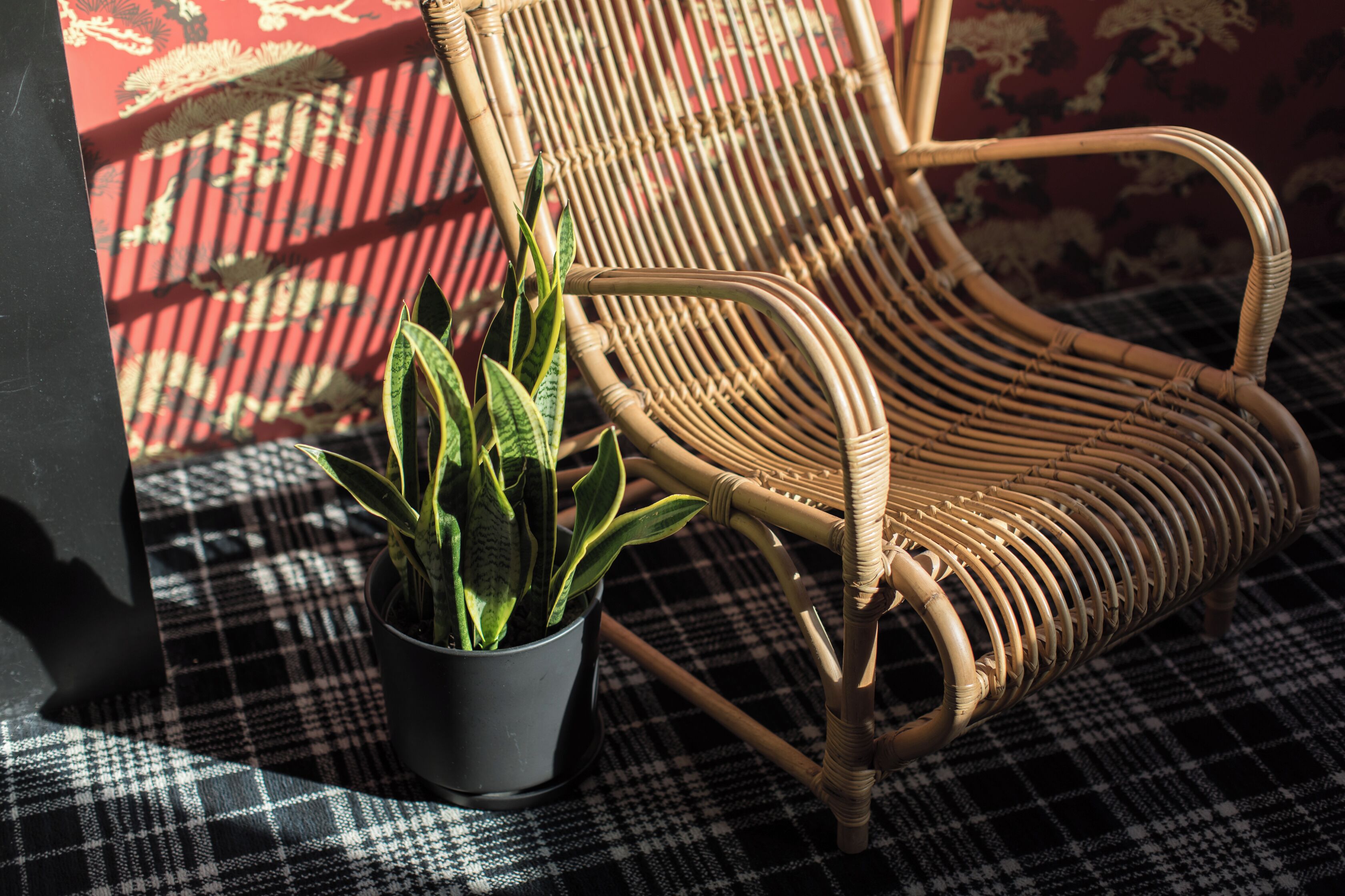 A wicker chair with a potted plant beside it.