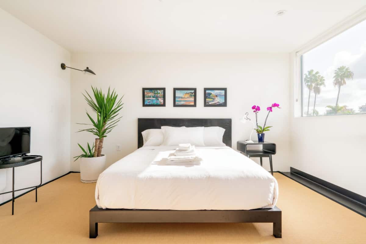 Quarto de hotel moderno com uma cama grande, televisão, planta em vaso e obras de arte na parede.