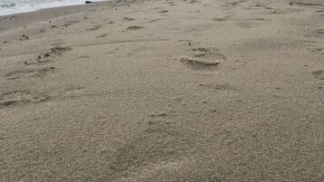 Vlak bij het strand, wit zand