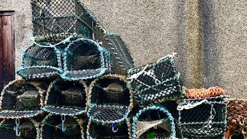 Pesca