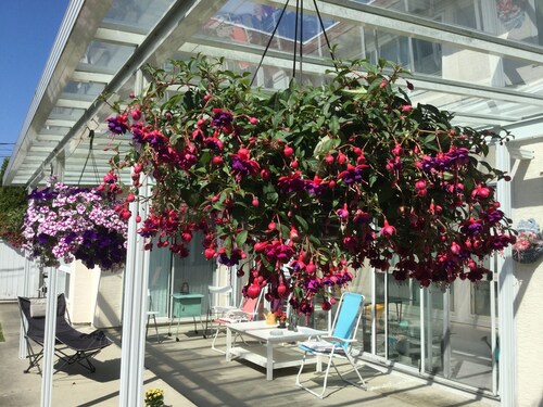 Vancouver Pacific Guest House