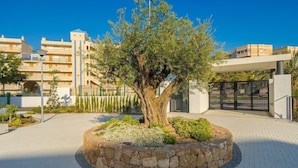 A landscaped area with a central tree, stone border, and a paved walkway. - Apartamento Arenales (Arenales del Sol) (Arenales del Sol)