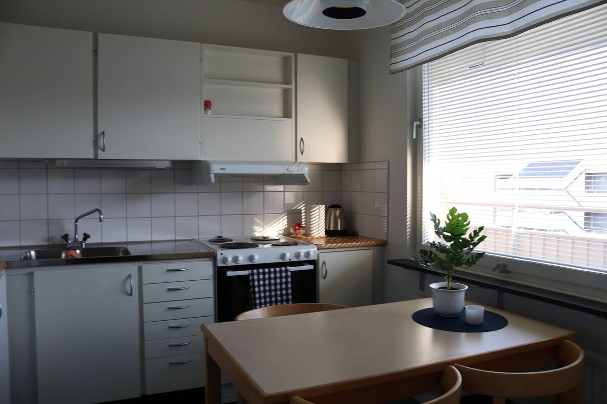 apartment, balcony (with kitchen) | private kitchen | full-sized fridge, microwave, oven, stovetop