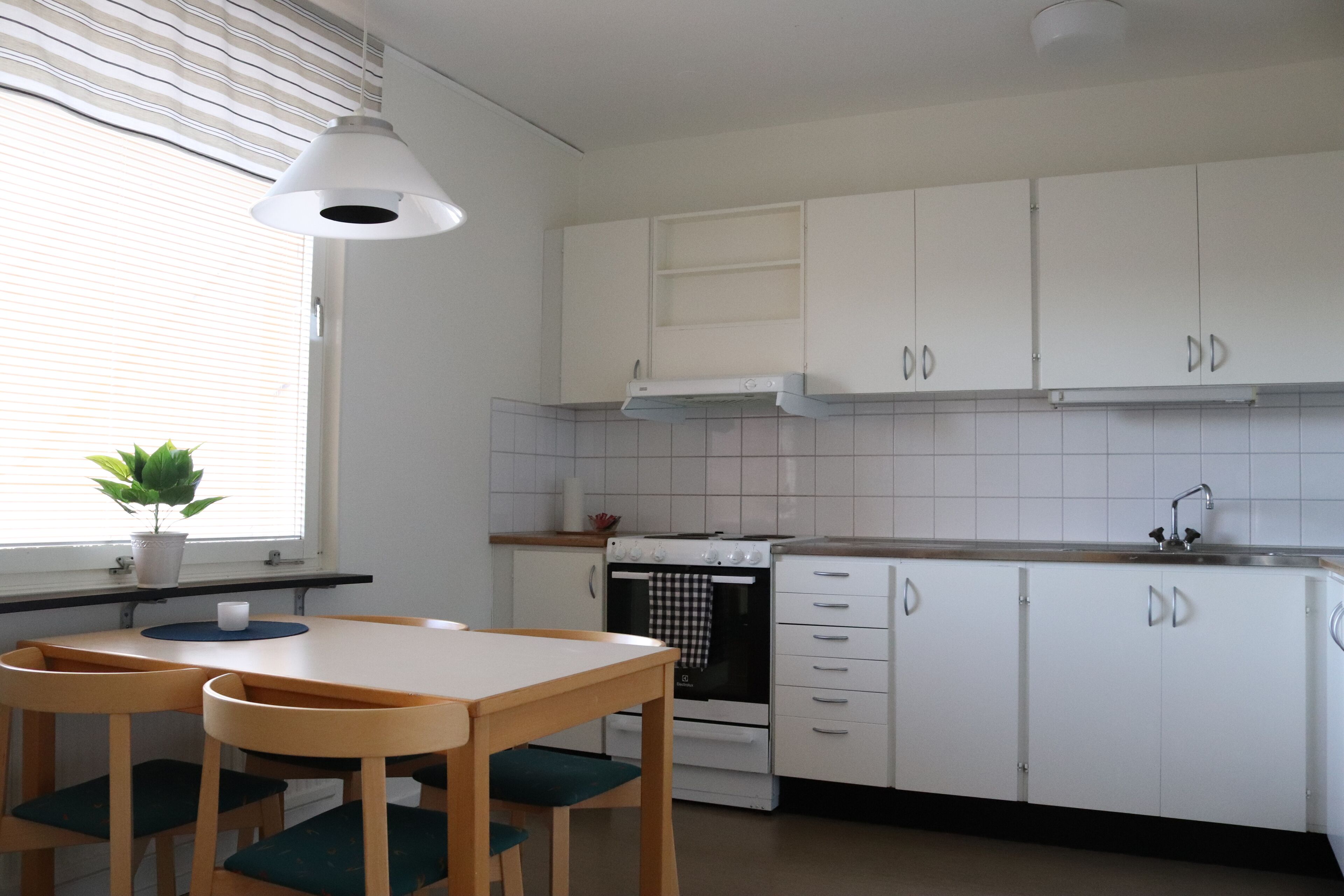 apartment, 4 bedrooms, balcony (with kitchen) | private kitchen | full-sized fridge, microwave, oven, stovetop