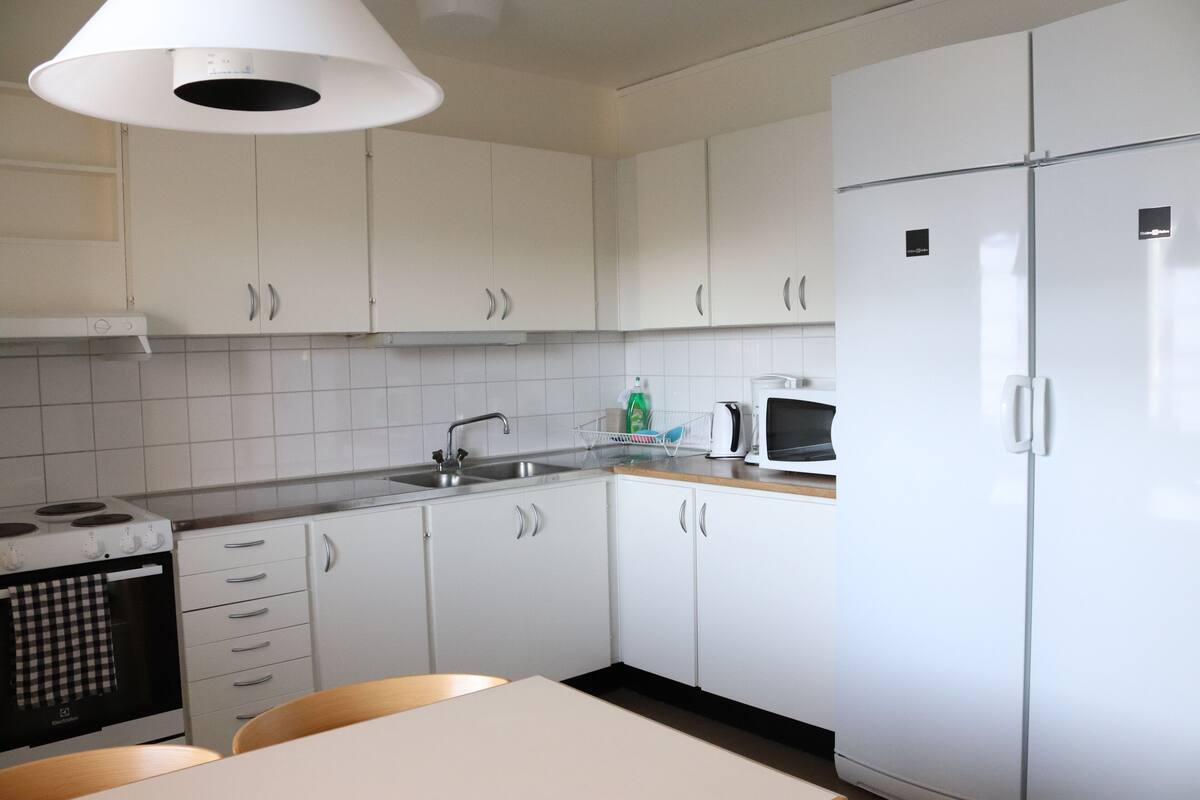 apartment, 4 bedrooms, balcony (with kitchen) | private kitchen | full-sized fridge, microwave, oven, stovetop
