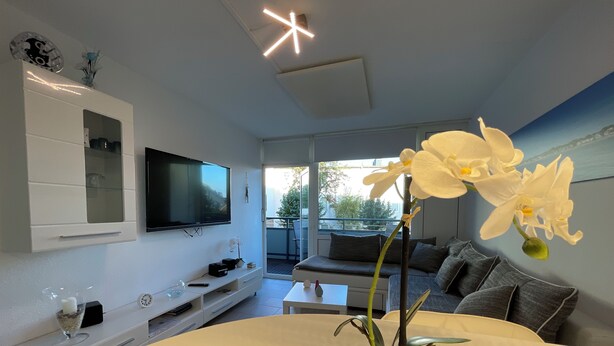 A modern living room with a flat-screen TV, a white cabinet, a sofa, and a dining table with a potted orchid.