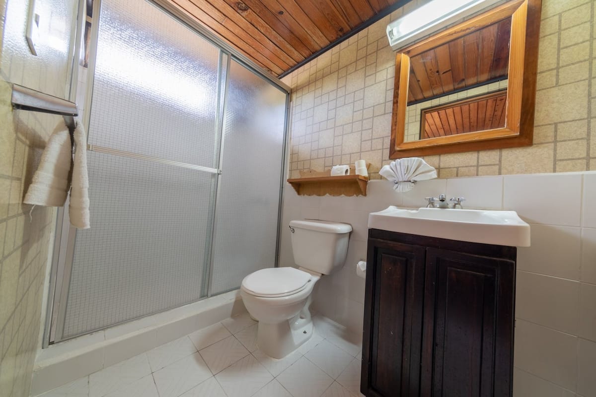 Shower, towels, soap, shampoo