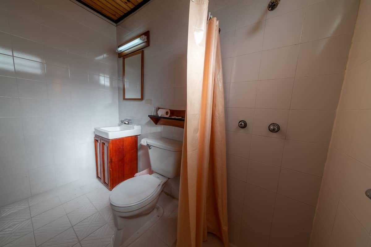 Shower, towels, soap, shampoo