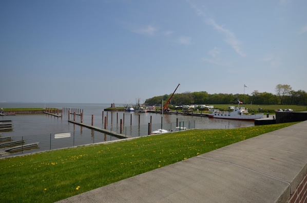 Unclassified image, 1 of 25, button