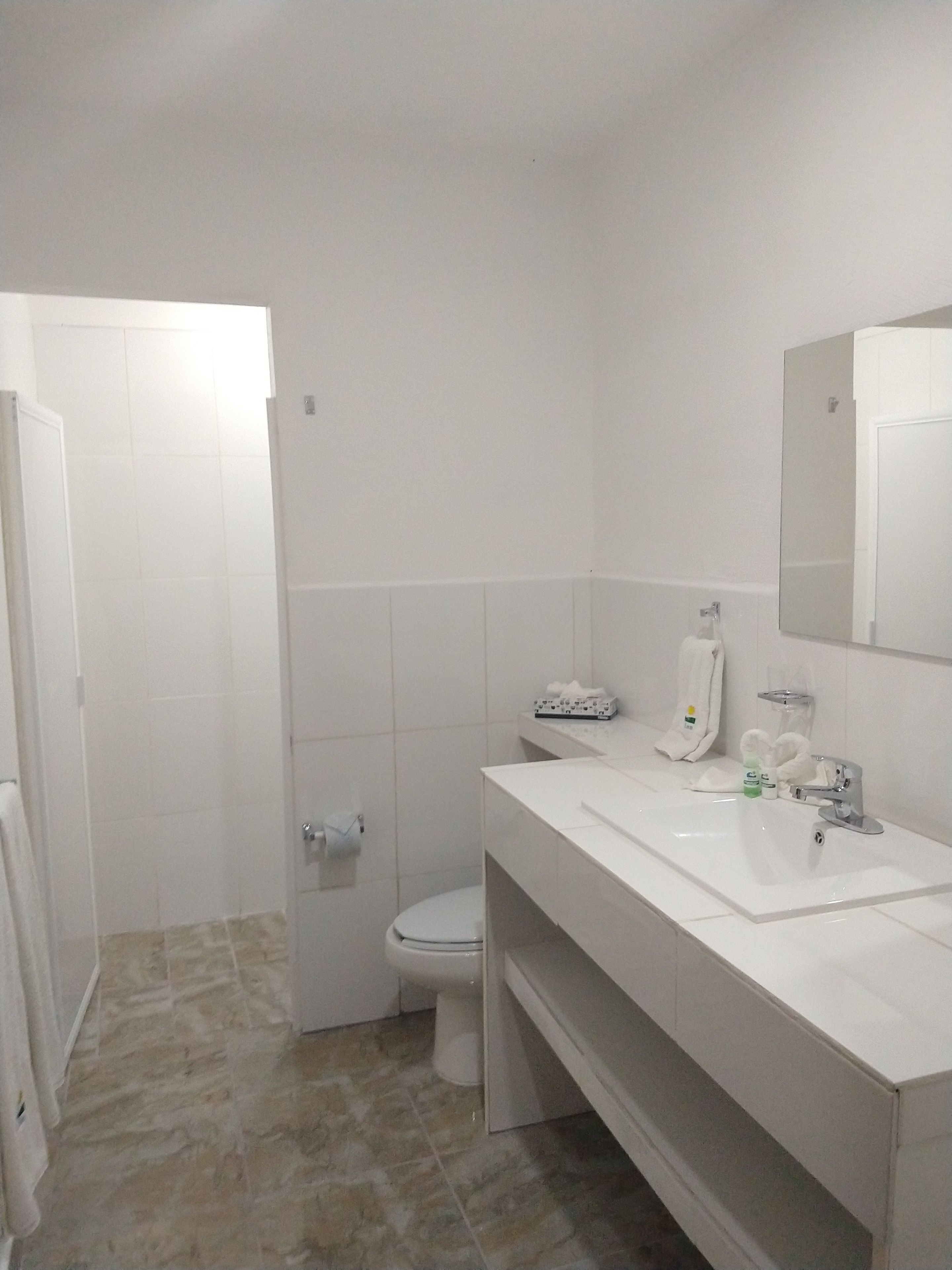 economy room | bathroom | shower, free toiletries, hair dryer, towels