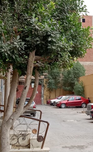 A tree-lined street with parked cars and a building in the background. - Pyramids Terrace INN (Giza)