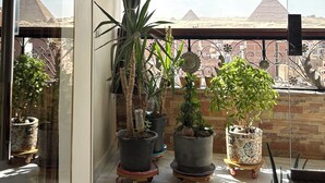 A balcony with potted plants and a view of pyramids. - Pyramids Terrace INN (Giza)