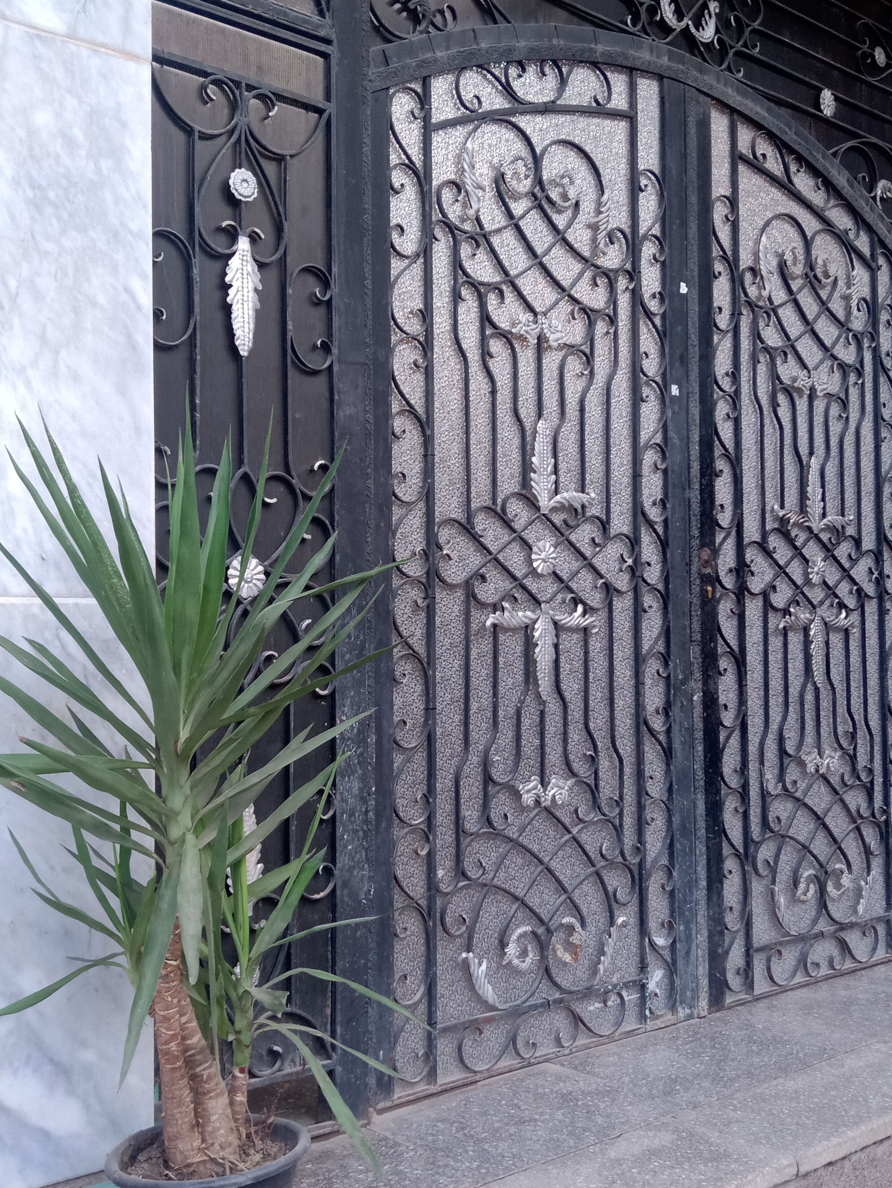 Foto - Giza Pyramids View Guest House