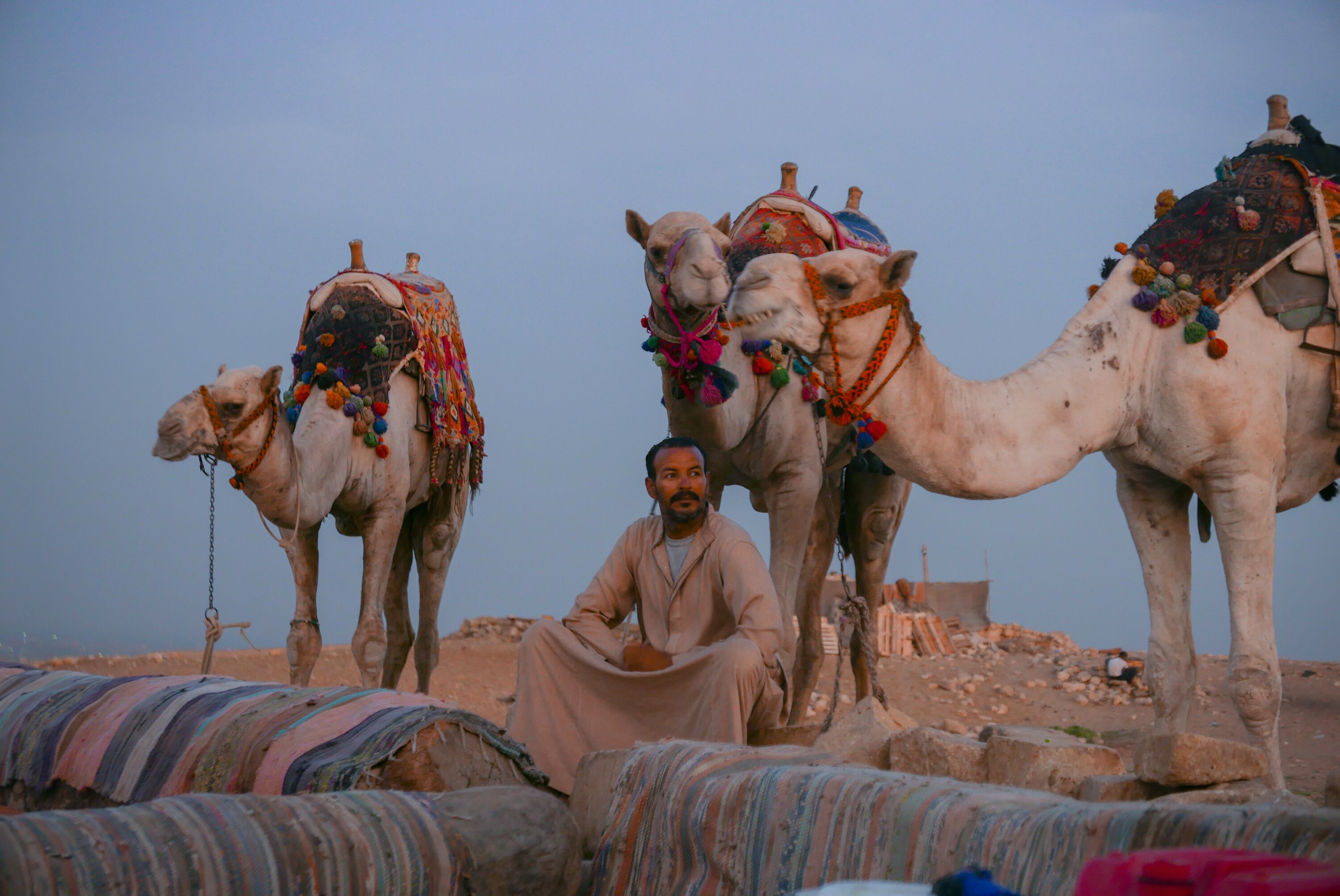 Foto - Giza Pyramids View Guest House