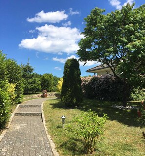 Imagen sin descripción, 2 de 16, botón