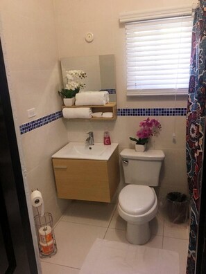 Shower, hair dryer, towels, soap
