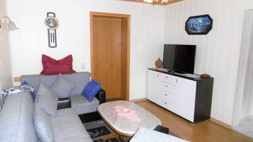 Fernseher
