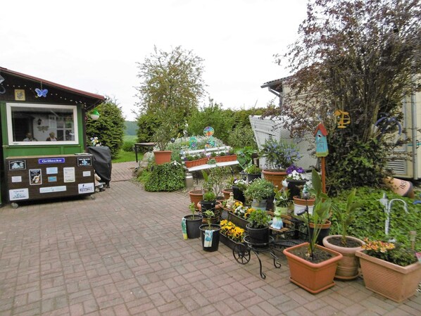 Ein Gartencenter mit verschiedenen Topfpflanzen und einem kleinen Kiosk.