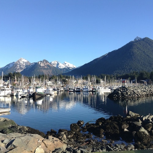 Downtown Apt. 5 w/ Ocean & Mountain Views.