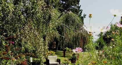 Quiet location, experience with gorgeous views of the mountains, the Spring!