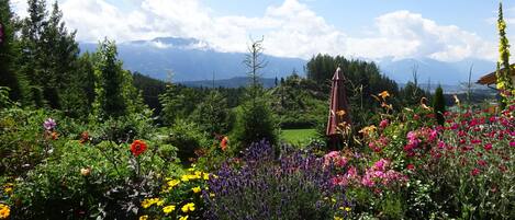 Terrain de lâhĂ©bergement