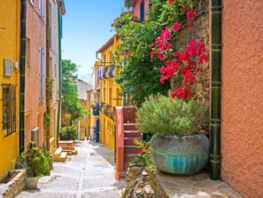 A narrow street with colorful buildings, a large planter, and steps leading to a door. - Les Roches Bleues by Interhome (Collioure)